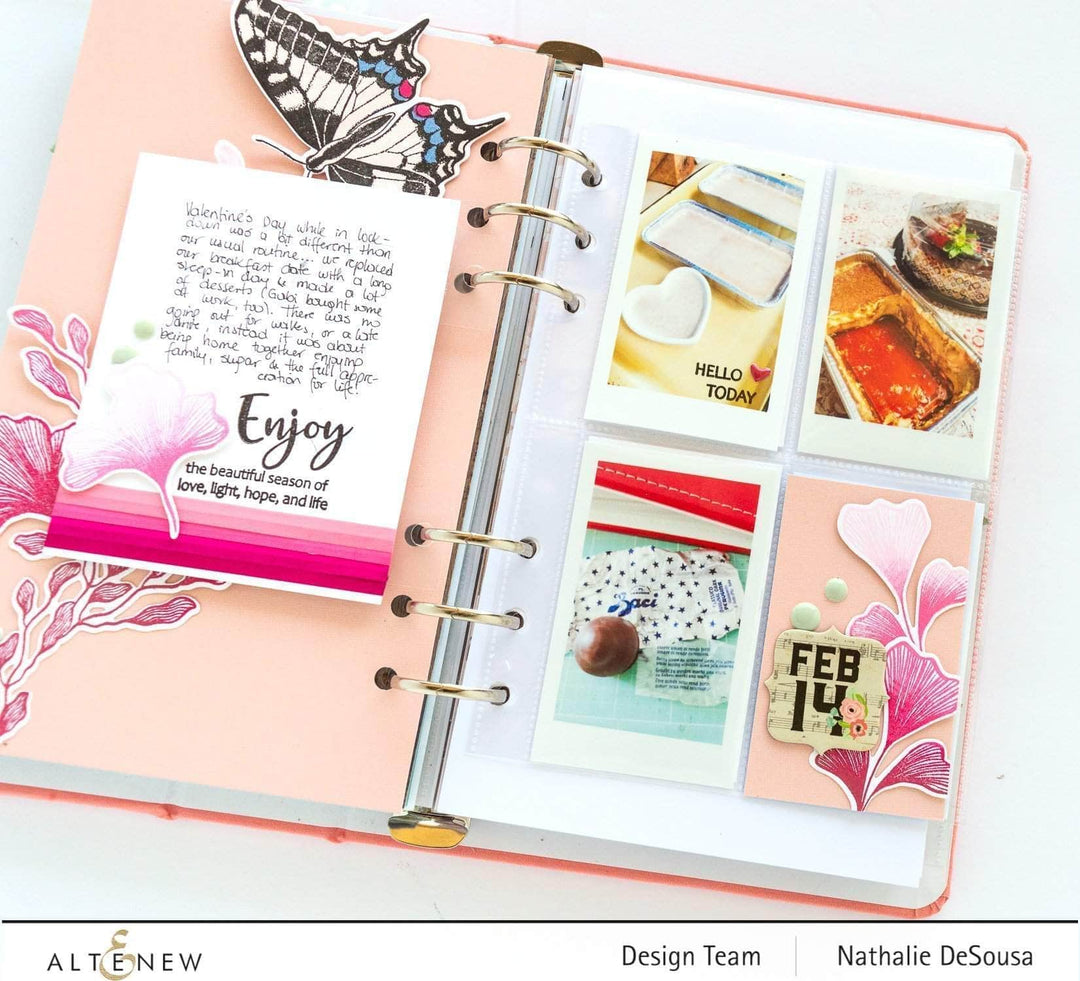 Photocentric Clear Stamps Dovetail Butterflies Stamp Set
