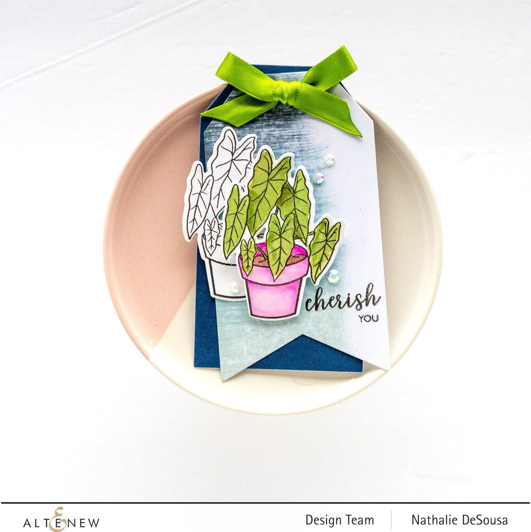 Photocentric Clear Stamps Elegant Alocasia Stamp Set