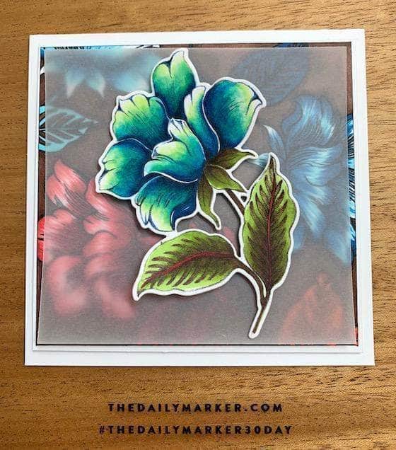Photocentric Clear Stamps Engraved Flowers Stamp Set