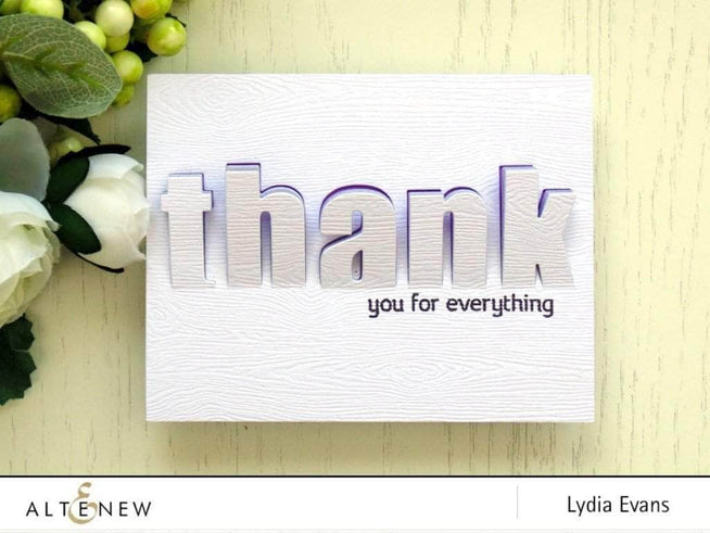 Photocentric Clear Stamps Family Matters Stamp Set