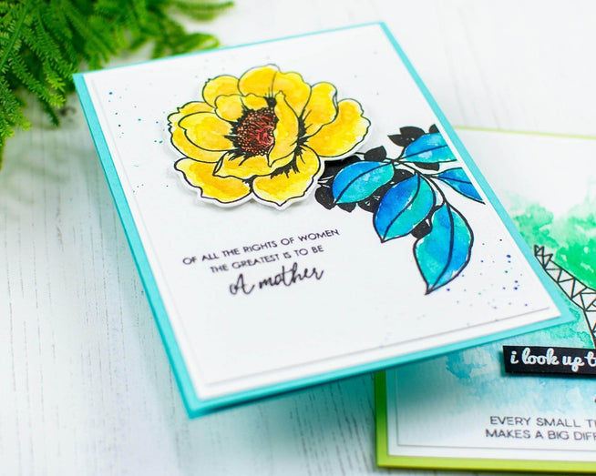 Photocentric Clear Stamps Gift From Heaven Stamp Set
