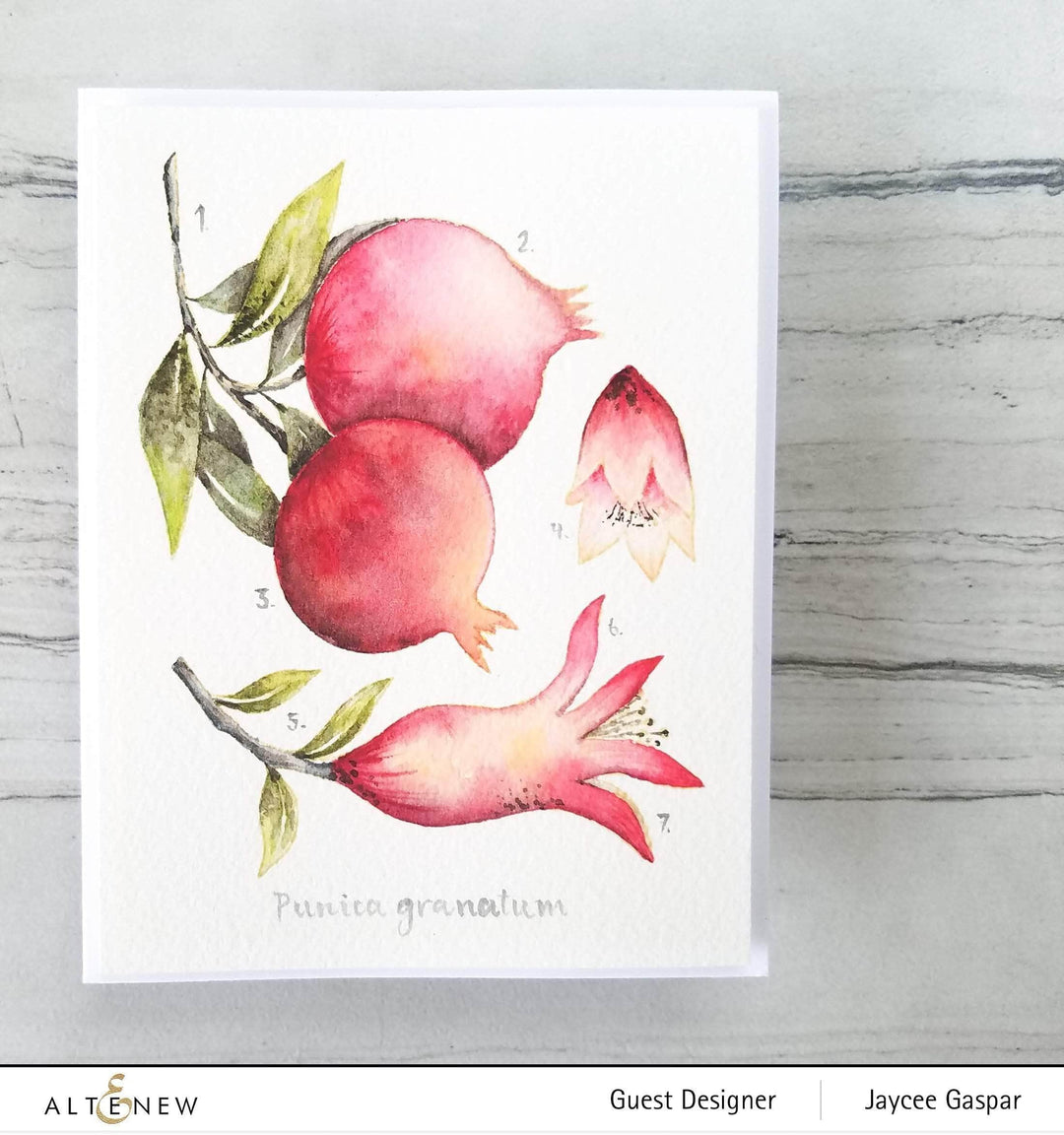 Photocentric Clear Stamps Happy Pomegranates Stamp Set