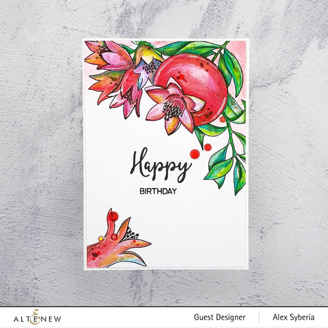 Photocentric Clear Stamps Happy Pomegranates Stamp Set