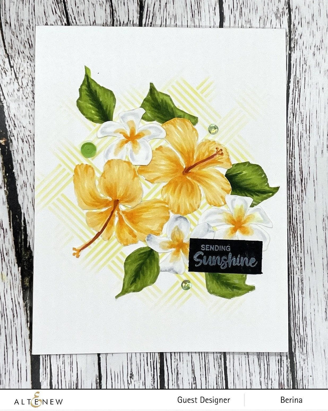 Photocentric Clear Stamps Linear Life: Tropical Garden Stamp Set