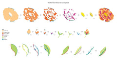 Photocentric Clear Stamps Marbled Bloom Stamp Set