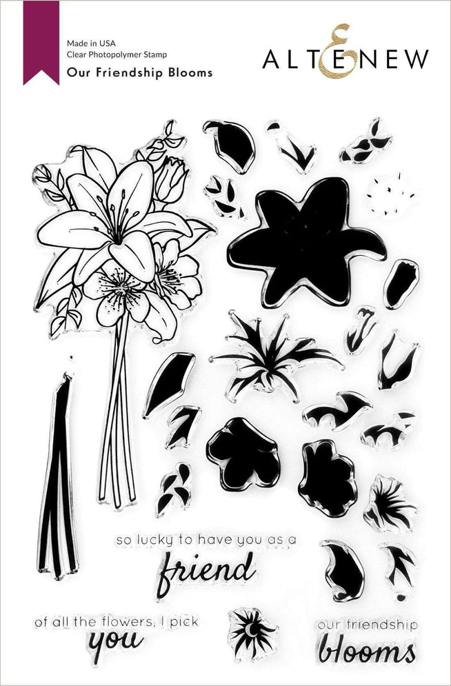 Photocentric Clear Stamps Our Friendship Blooms Stamp Set