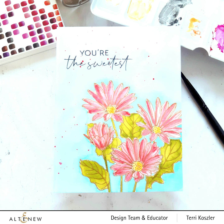Photocentric Clear Stamps Paint-A-Flower: African Daisy Outline Stamp Set