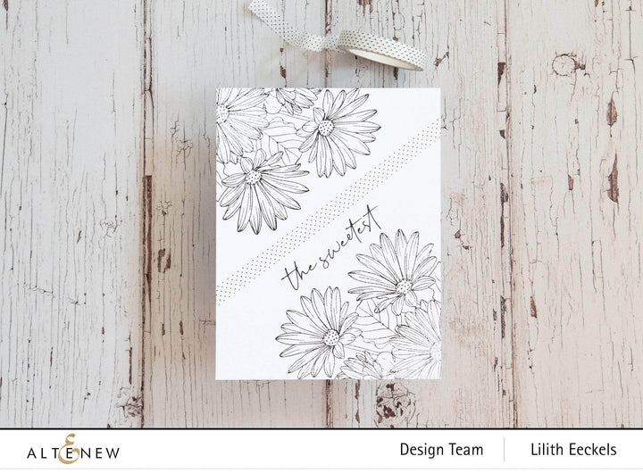 Photocentric Clear Stamps Paint-A-Flower: African Daisy Outline Stamp Set