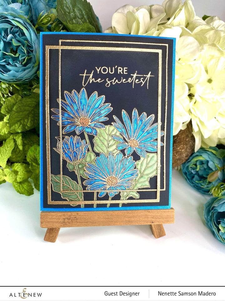 Photocentric Clear Stamps Paint-A-Flower: African Daisy Outline Stamp Set