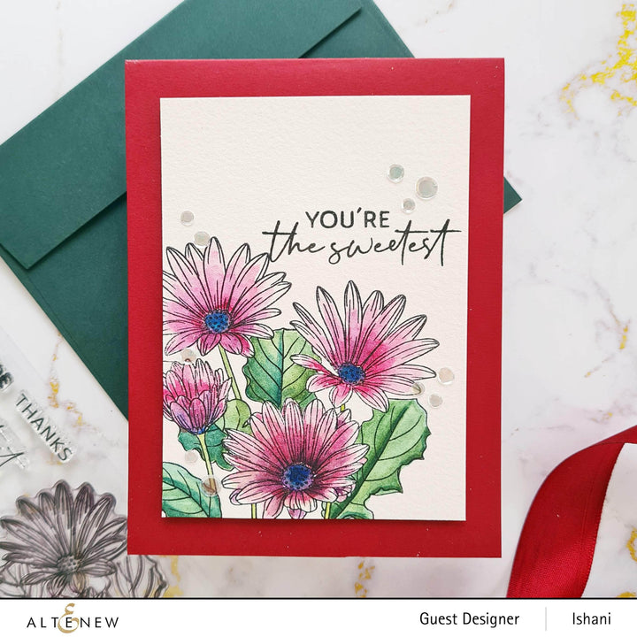 Photocentric Clear Stamps Paint-A-Flower: African Daisy Outline Stamp Set