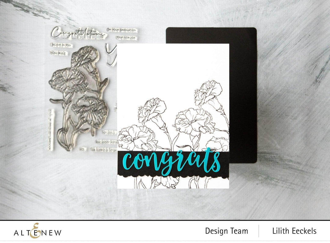Photocentric Clear Stamps Paint-A-Flower: Carnations Outline Stamp Set