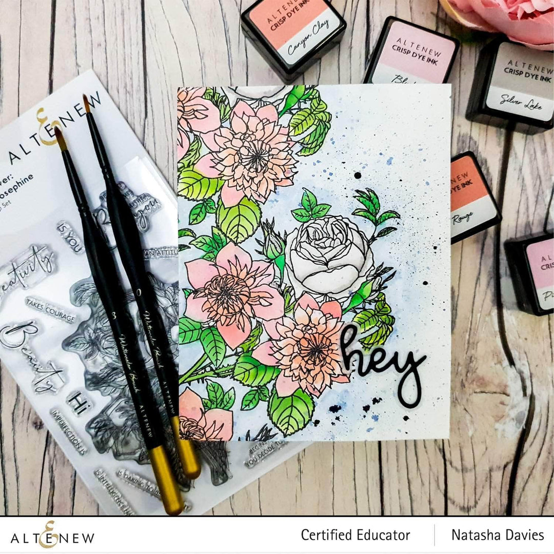 Photocentric Clear Stamps Paint-A-Flower: Clematis Josephine Outline Stamp Set