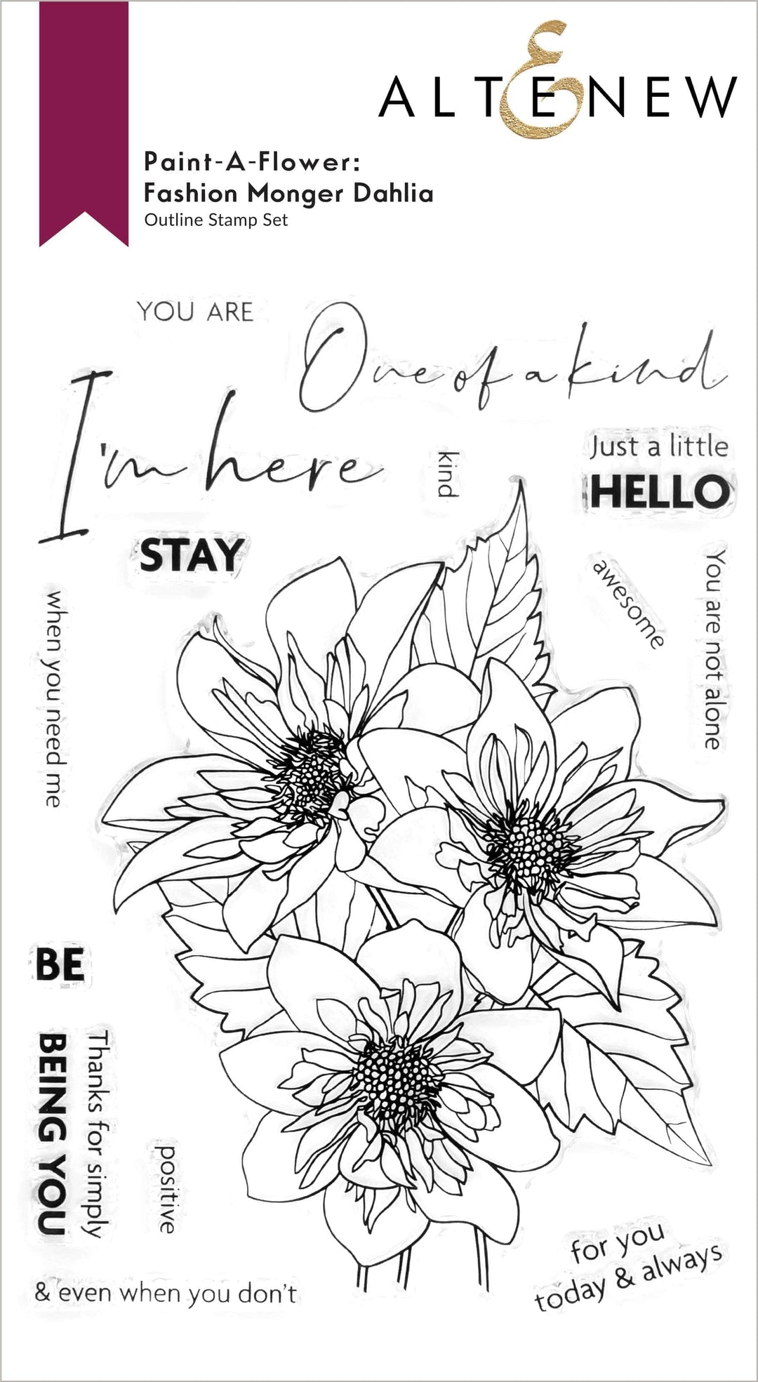 Photocentric Clear Stamps Paint-A-Flower: Fashion Monger Dahlia Outline Stamp Set