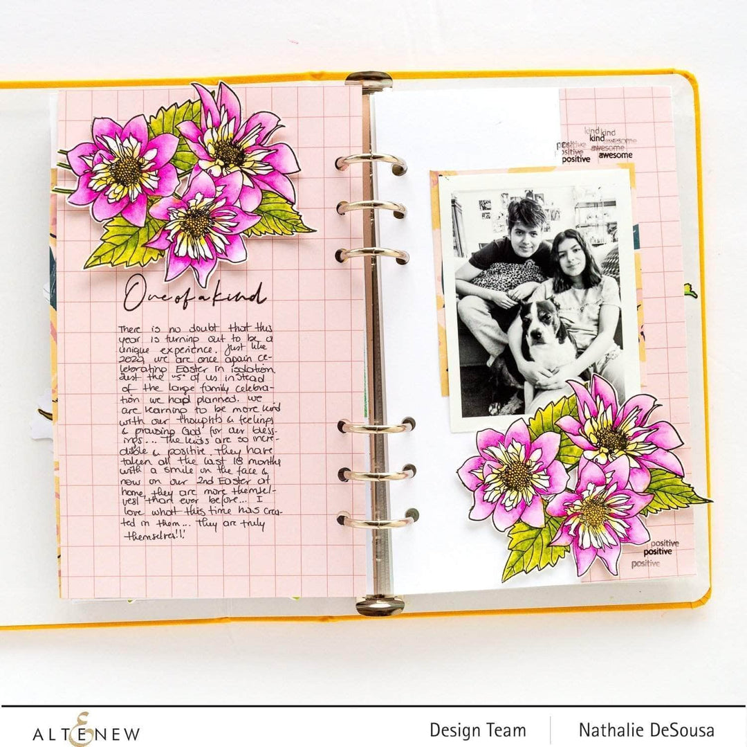 Photocentric Clear Stamps Paint-A-Flower: Fashion Monger Dahlia Outline Stamp Set