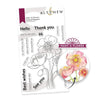 PMA Industries, Inc. Clear Stamps Paint-A-Flower: Iceland Poppies Outline Stamp Set
