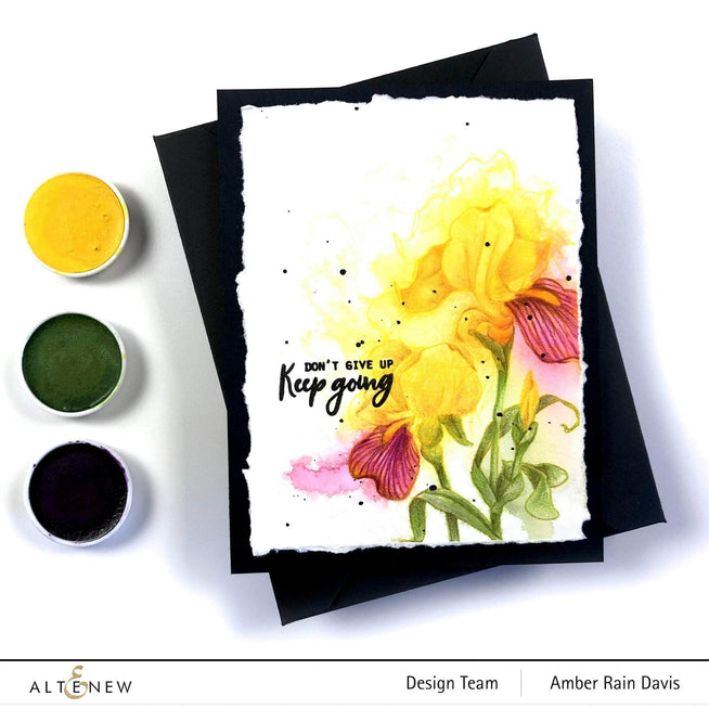 Photocentric Clear Stamps Paint-A-Flower: Iris Outline Stamp Set