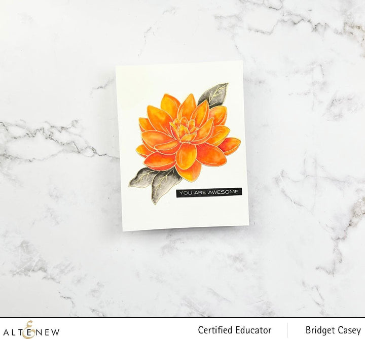 PMA Industries, Inc. Clear Stamps Paint-A-Flower: Waterlily Dahlia Outline Stamp Set