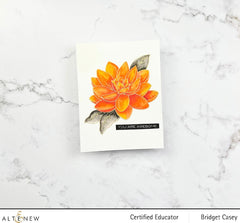 PMA Industries, Inc. Clear Stamps Paint-A-Flower: Waterlily Dahlia Outline Stamp Set