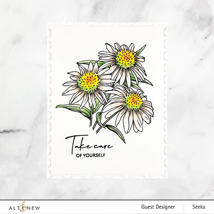 Photocentric Clear Stamps Paint-A-Flower: White Swan Echinacea Outline Stamp Set