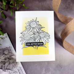 Photocentric Clear Stamps Paint-A-Flower: White Swan Echinacea Outline Stamp Set