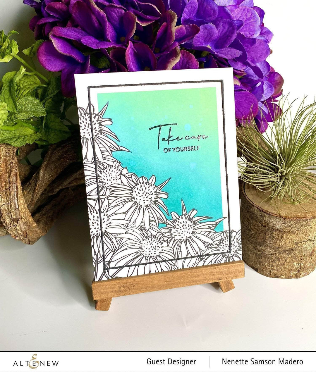 Photocentric Clear Stamps Paint-A-Flower: White Swan Echinacea Outline Stamp Set