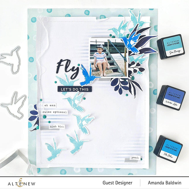Photocentric Clear Stamps Painted Hummingbirds Stamp Set