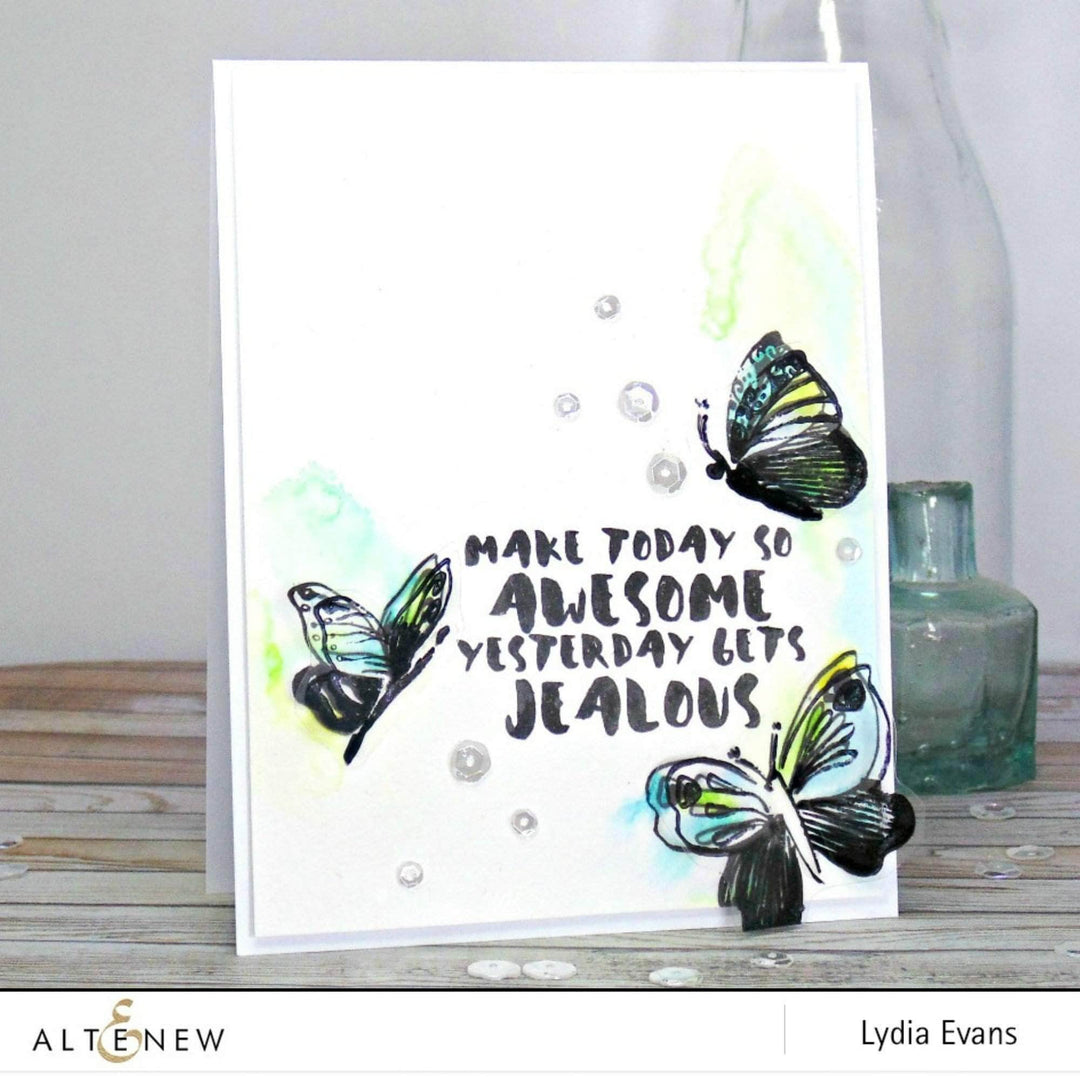 Photocentric Clear Stamps Painted Inspiration Stamp Set