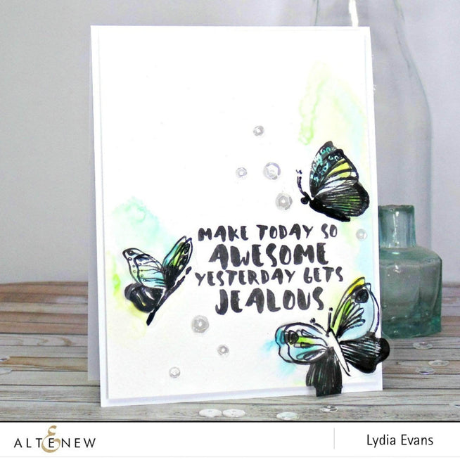 Photocentric Clear Stamps Painted Inspiration Stamp Set