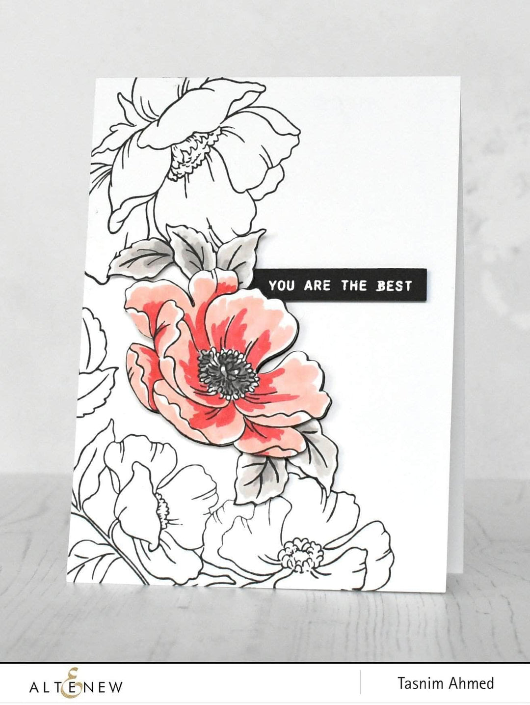 Photocentric Clear Stamps Poppy Garden Stamp Set