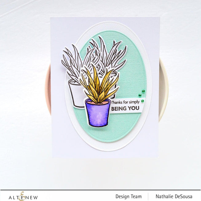 Photocentric Clear Stamps Potted Succulent Stamp Set