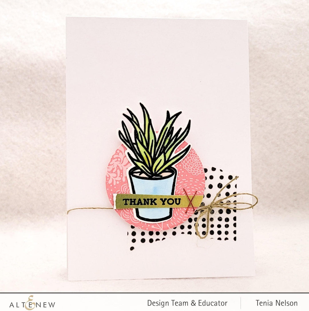 Photocentric Clear Stamps Potted Succulent Stamp Set