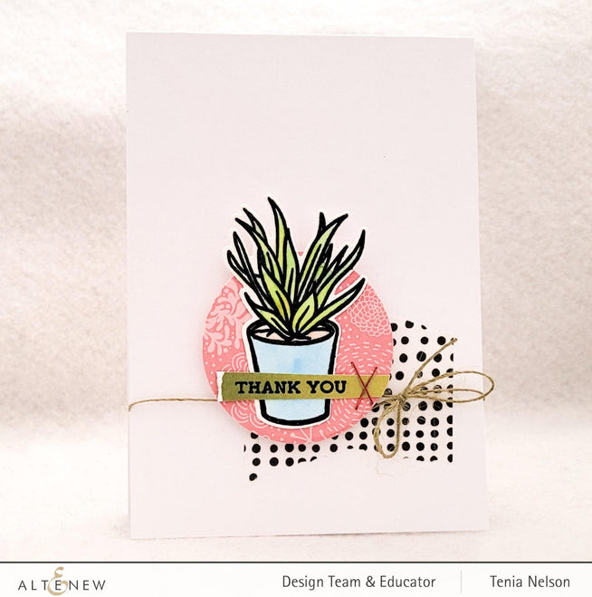 Photocentric Clear Stamps Potted Succulent Stamp Set