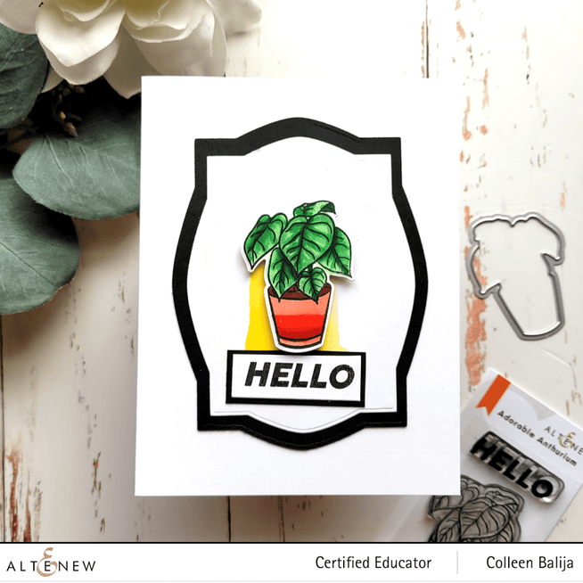 Photocentric Clear Stamps Potted Succulent Stamp Set
