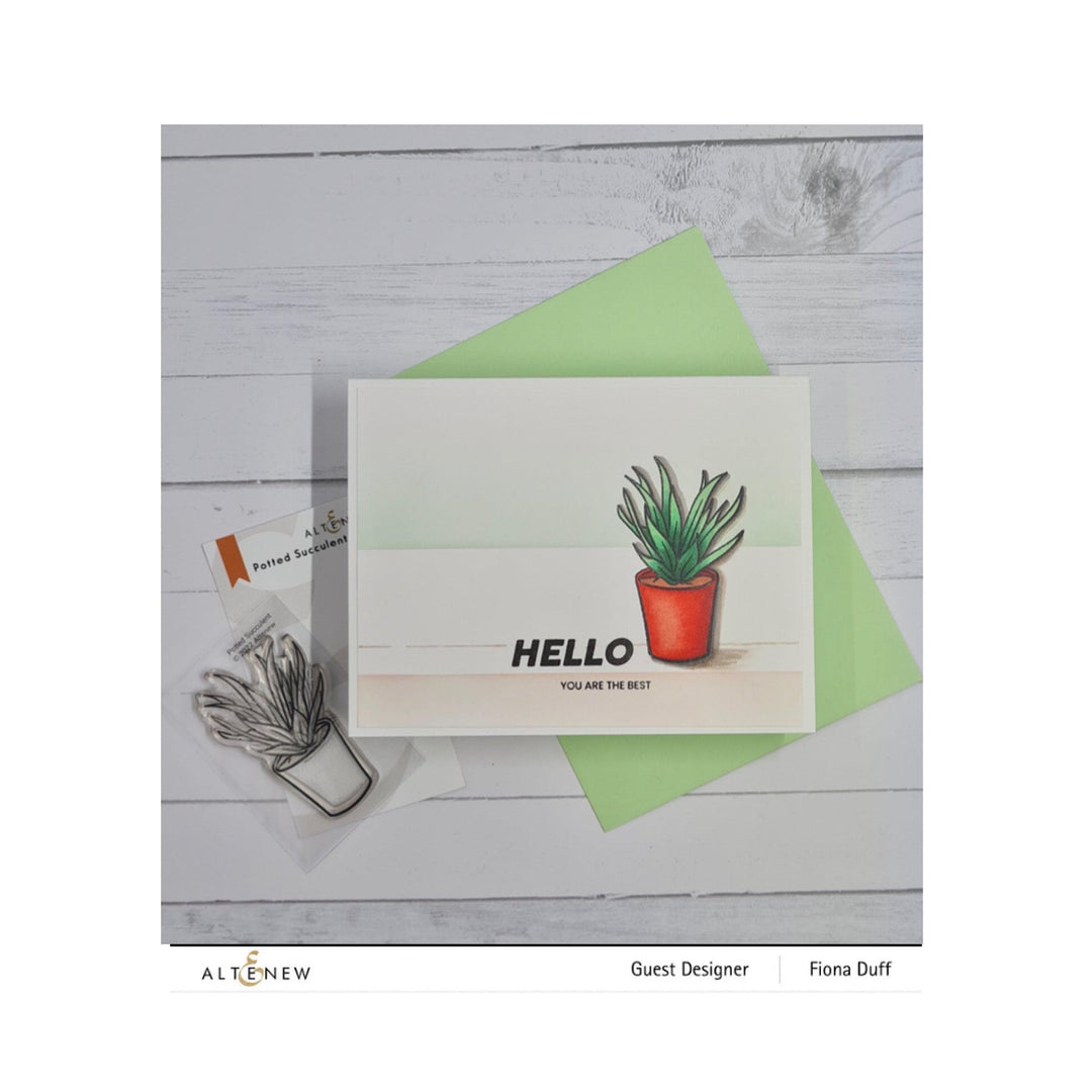 Photocentric Clear Stamps Potted Succulent Stamp Set