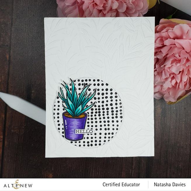 Photocentric Clear Stamps Potted Succulent Stamp Set