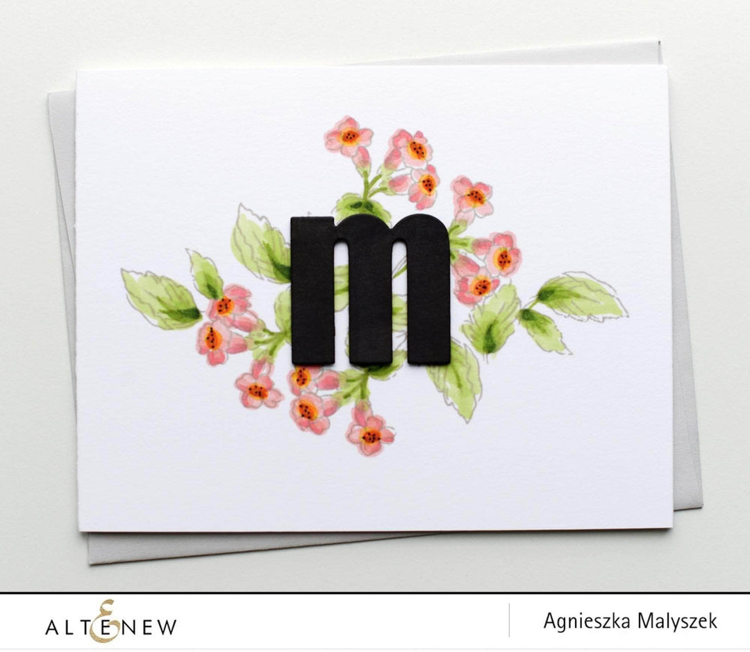 Photocentric Clear Stamps Remember This Stamp Set