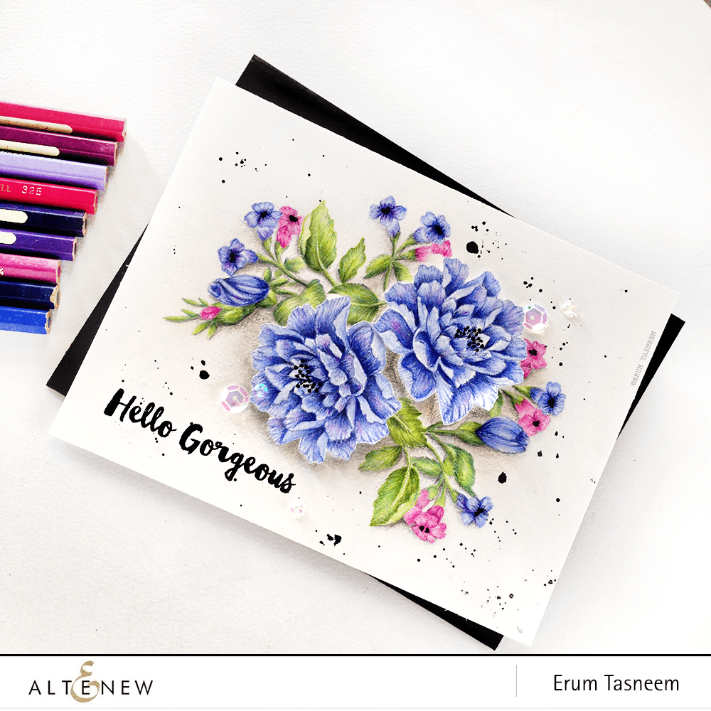 Photocentric Clear Stamps Remember This Stamp Set