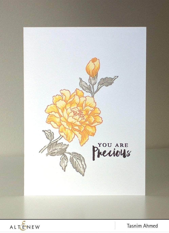 Photocentric Clear Stamps Remember This Stamp Set
