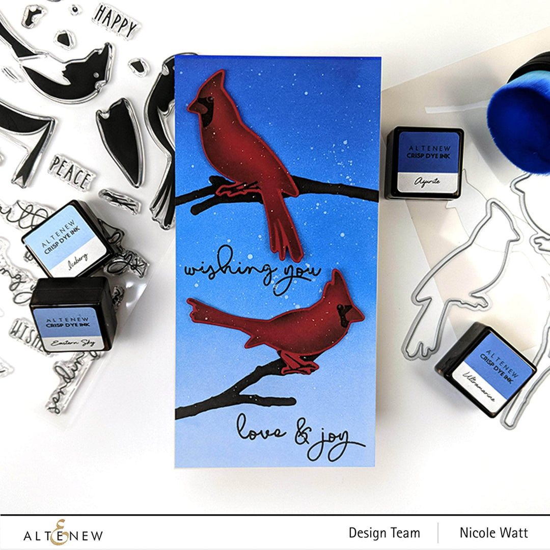 Photocentric Clear Stamps Season's Tweetings Stamp Set