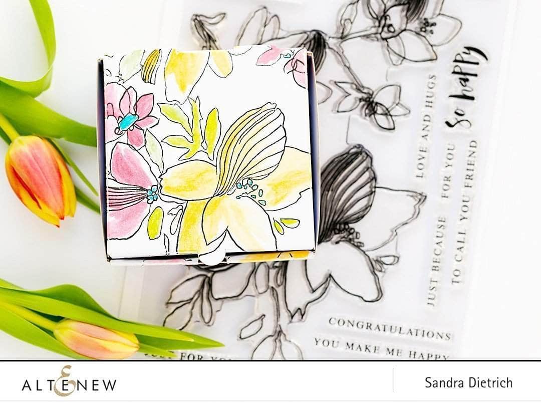 Photocentric Clear Stamps Sketchy Floral Stamp Set