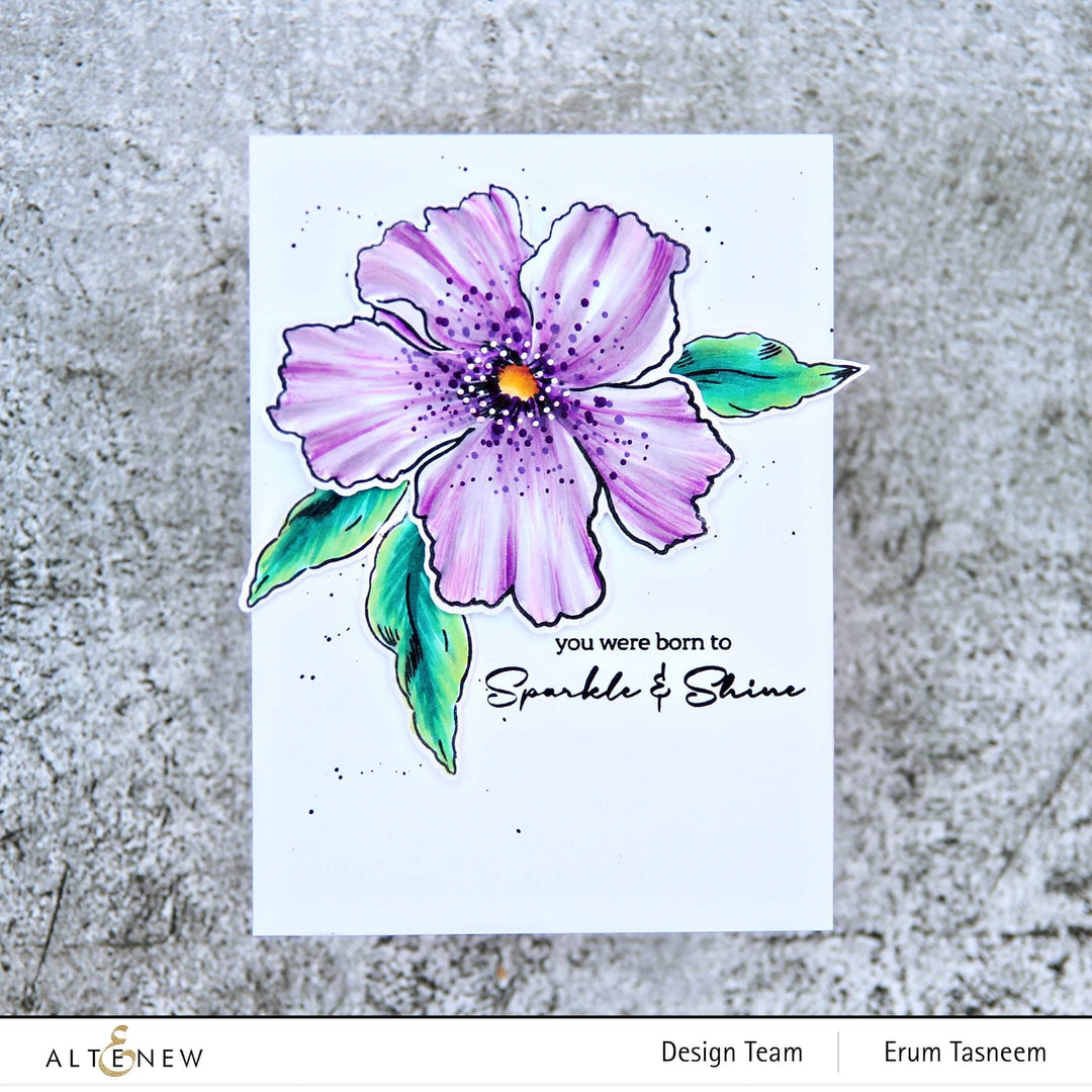 Photocentric Clear Stamps Sparkled Stamp Set