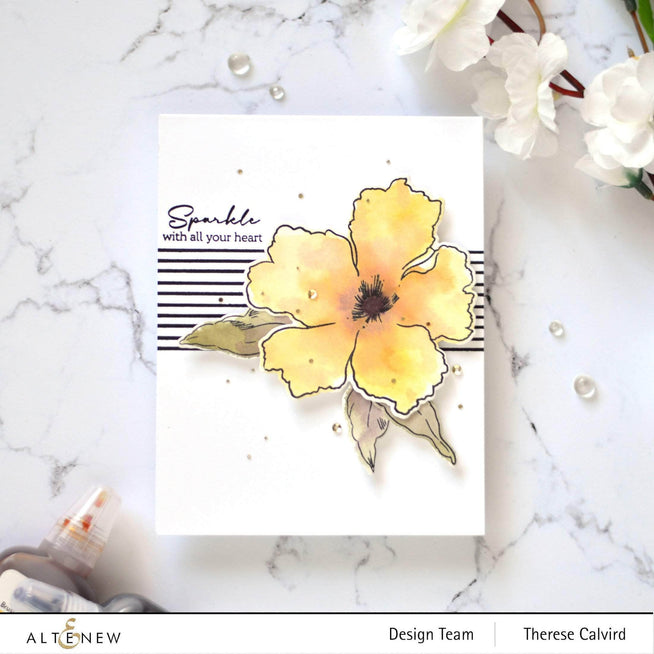 Photocentric Clear Stamps Sparkled Stamp Set