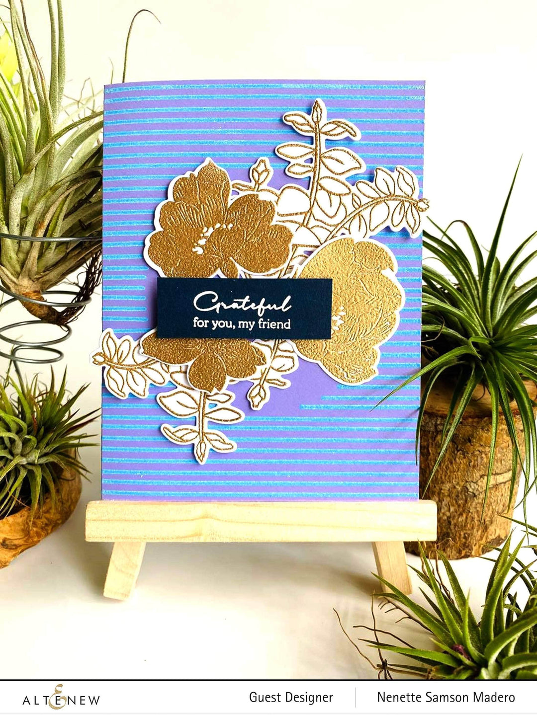 Photocentric Clear Stamps Striped Circle Stamp Set