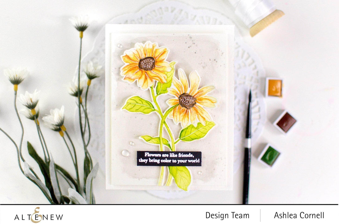 Photocentric Clear Stamps Wild Flora Stamp Set