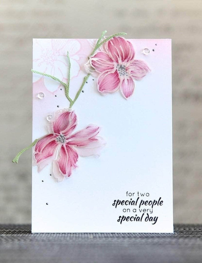 Photocentric Clear Stamps Wild Hibiscus Stamp Set