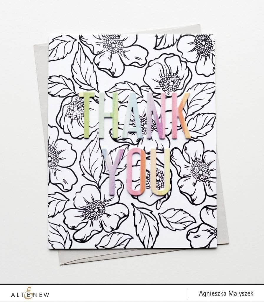 Photocentric Clear Stamps Z - Always There Stamp Set