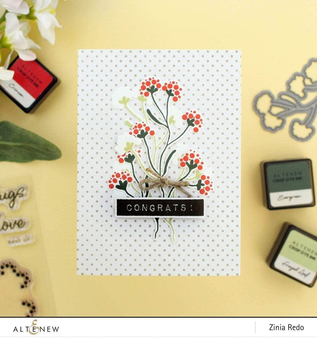 Photocentric Clear Stamps Blooming Branches Stamp Set