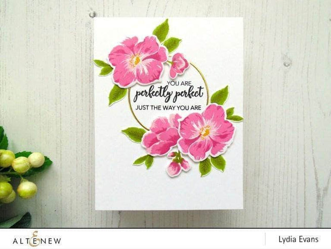 Photocentric Clear Stamps Climbing Clematis Stamp Set