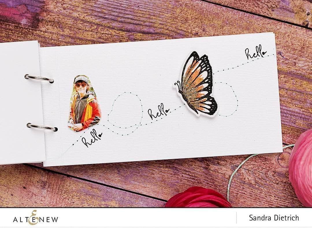 Photocentric Clear Stamps Dream Big Stamp Set