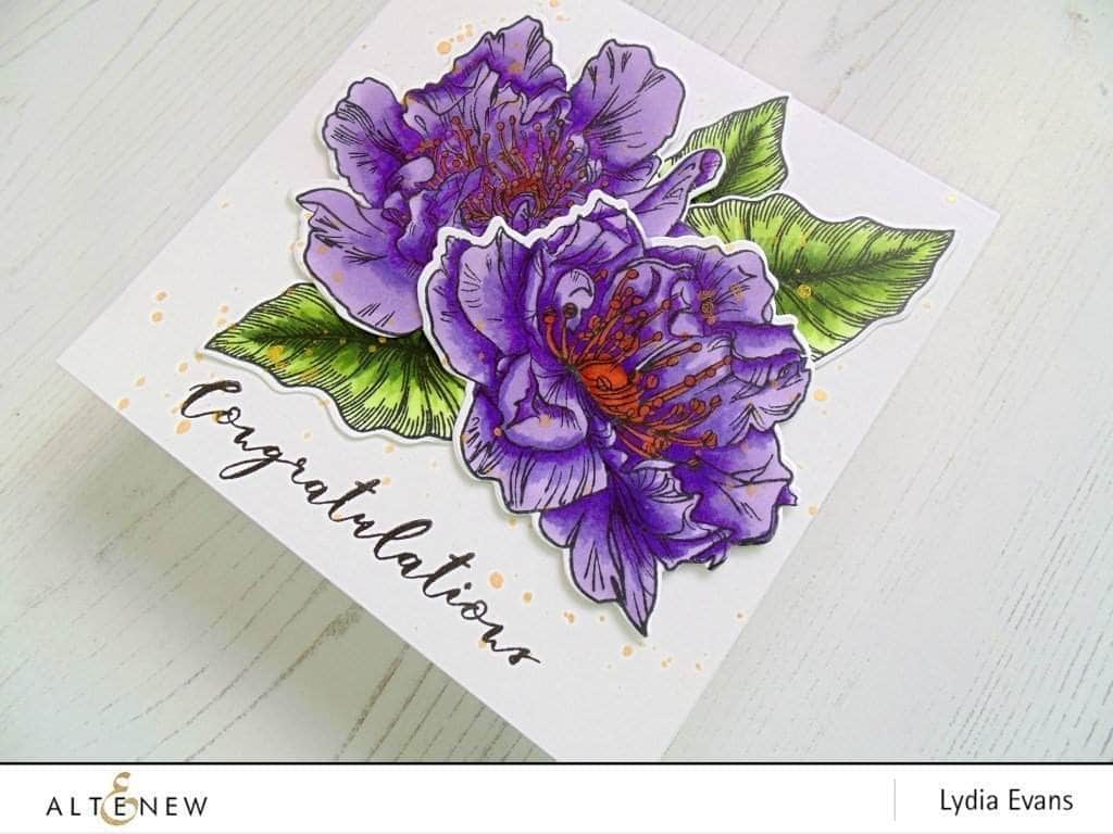 Photocentric Clear Stamps Engagement Wishes Stamp Set